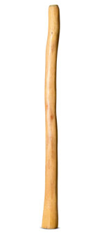 Medium Size Natural Finish Didgeridoo (TW1665)